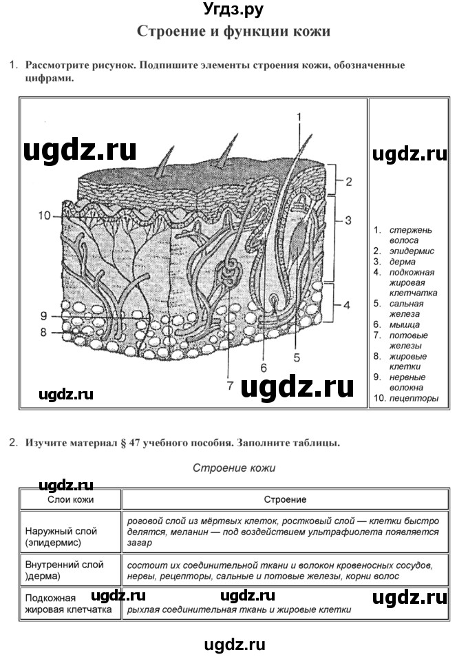 ГДЗ (Решебник) по биологии 9 класс (лабораторные и практические работы) Лисов Н.Д. / вопрос / 1