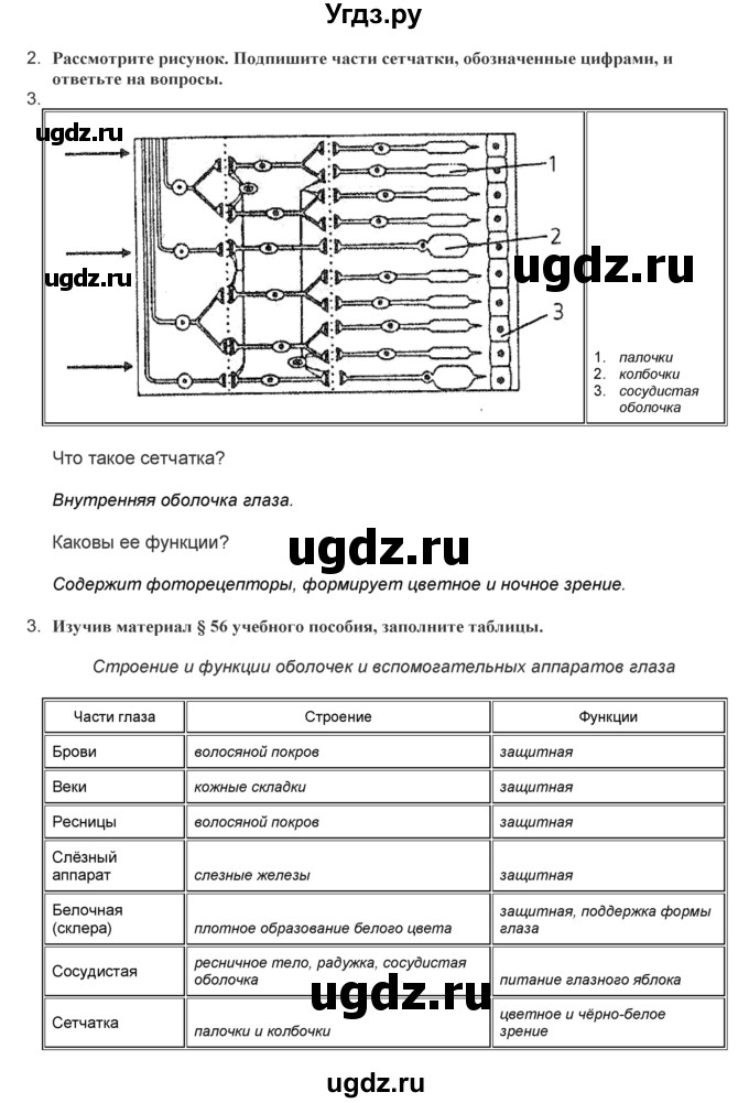 ГДЗ (Решебник) по биологии 9 класс (лабораторные и практические работы) Лисов Н.Д. / вопрос / 2(продолжение 2)