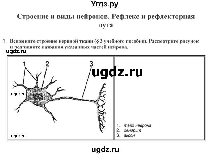 ГДЗ (Решебник) по биологии 9 класс (лабораторные и практические работы) Лисов Н.Д. / вопрос / 2