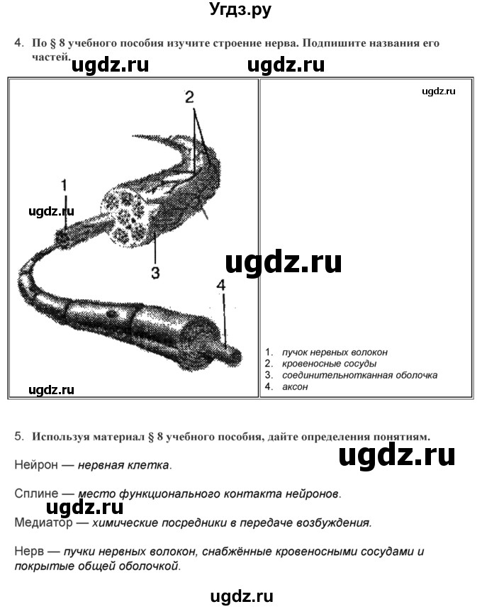 ГДЗ (Решебник) по биологии 9 класс (лабораторные и практические работы) Лисов Н.Д. / вопрос / 2(продолжение 3)