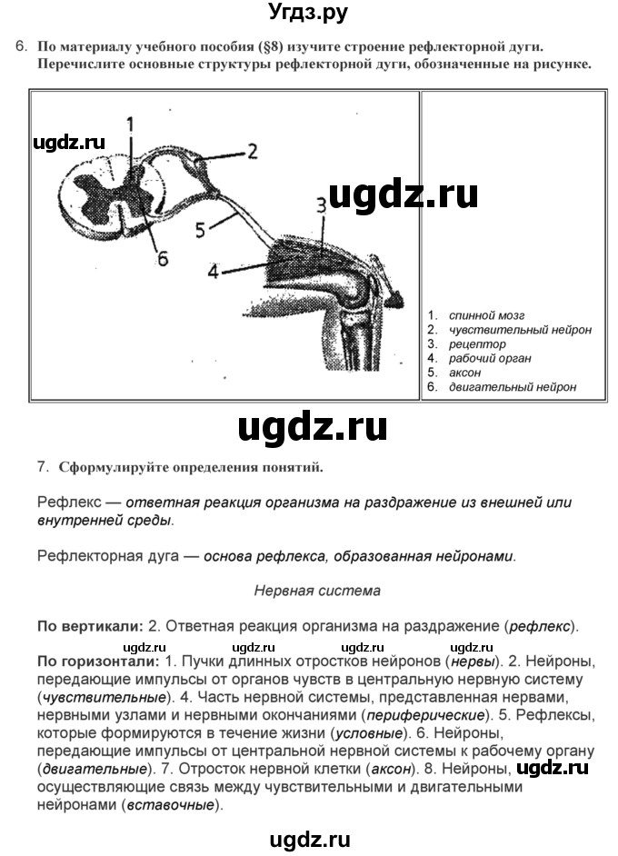 ГДЗ (Решебник) по биологии 9 класс (лабораторные и практические работы) Лисов Н.Д. / вопрос / 2(продолжение 4)