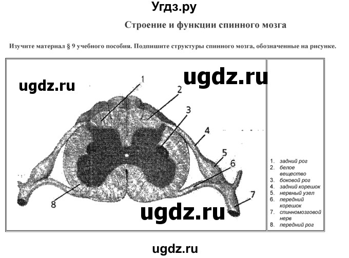 ГДЗ (Решебник) по биологии 9 класс (лабораторные и практические работы) Лисов Н.Д. / вопрос / 3