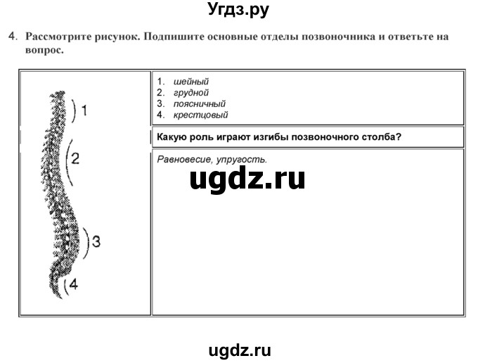 ГДЗ (Решебник) по биологии 9 класс (лабораторные и практические работы) Лисов Н.Д. / вопрос / 2(продолжение 3)