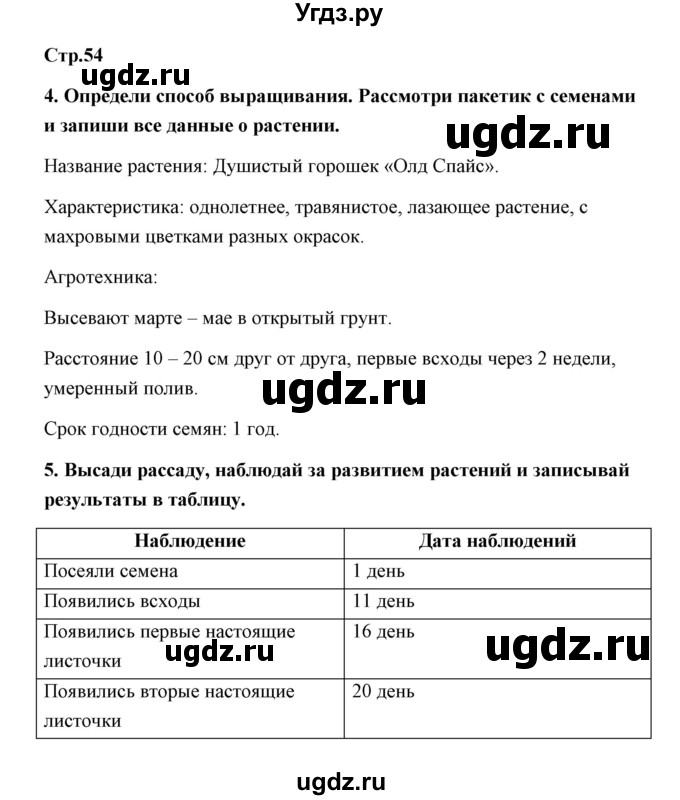 ГДЗ (Решебник (2019)) по технологии 4 класс (рабочая тетрадь) Роговцева Н.И. / страница / 54