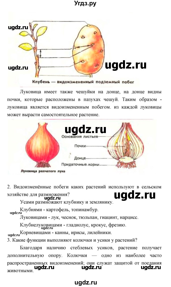 ГДЗ (Решебник) по биологии 5 класс Трайтак Д.И. / страница / 85(продолжение 2)