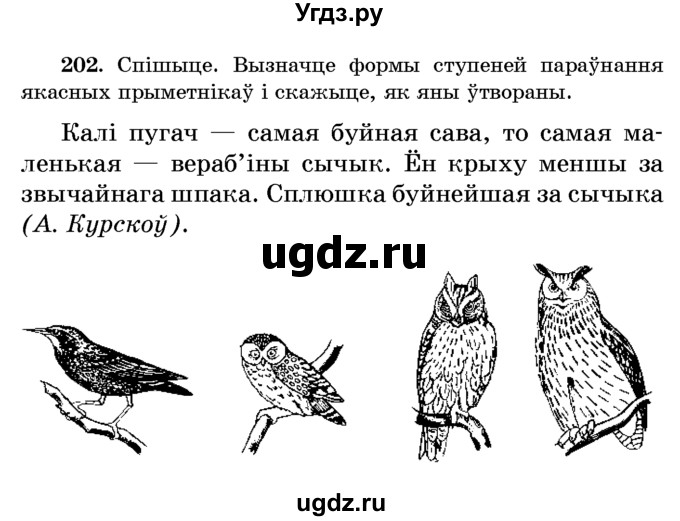 ГДЗ (Учебник) по белорусскому языку 6 класс Красней В. П. / практыкаванне / 202