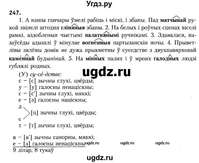 ГДЗ (Решебник №2) по белорусскому языку 6 класс Красней В. П. / практыкаванне / 247