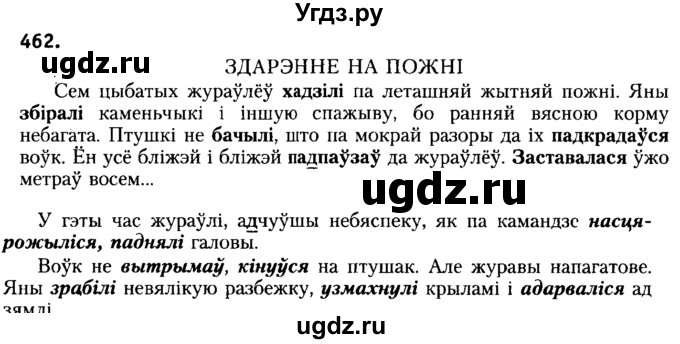ГДЗ (Решебник №2) по белорусскому языку 6 класс Красней В. П. / практыкаванне / 462