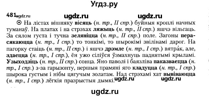 ГДЗ (Решебник №2) по белорусскому языку 6 класс Красней В. П. / практыкаванне / 481