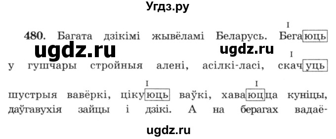 ГДЗ (Решебник №3) по белорусскому языку 6 класс Красней В. П. / практыкаванне / 480