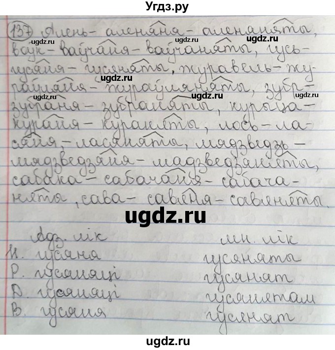 ГДЗ (Решебник №1) по белорусскому языку 6 класс Красней В. П. / практыкаванне / 137