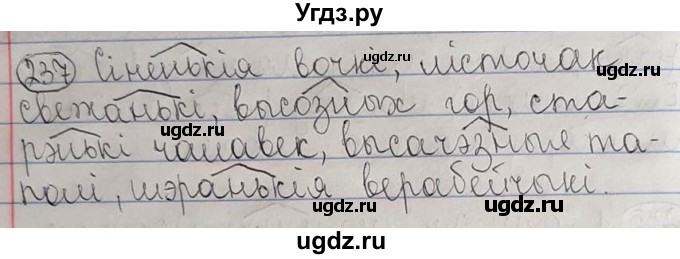 ГДЗ (Решебник №1) по белорусскому языку 6 класс Красней В. П. / практыкаванне / 237