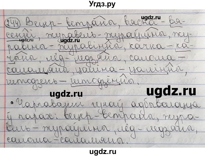 ГДЗ (Решебник №1) по белорусскому языку 6 класс Красней В. П. / практыкаванне / 244