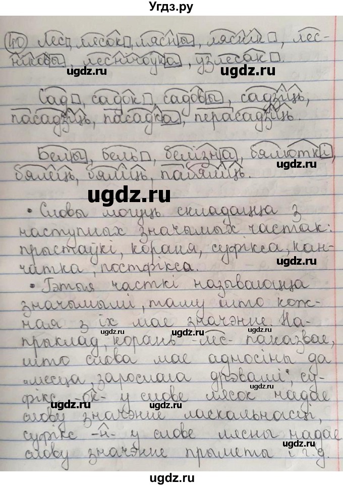 ГДЗ (Решебник №1) по белорусскому языку 6 класс Красней В. П. / практыкаванне / 40