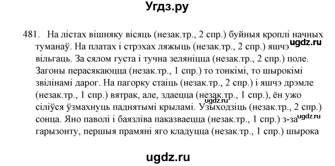 ГДЗ (Решебник №1) по белорусскому языку 6 класс Красней В. П. / практыкаванне / 481