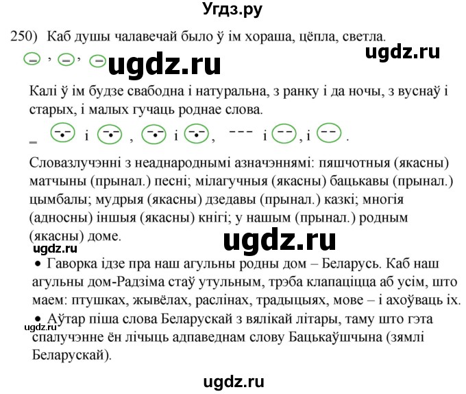 ГДЗ (Решебник к учебнику 2020) по белорусскому языку 8 класс Бадзевіч З. І. / учебник 2020 / практыкаванне / 250