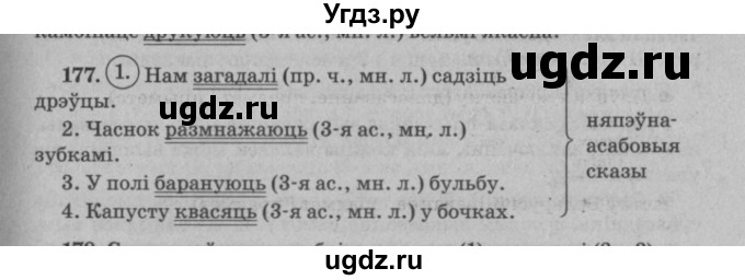 ГДЗ (Решебник №3 к учебнику 2016) по белорусскому языку 8 класс Бадзевіч З. І. / учебник 2016 / практыкаванне / 177