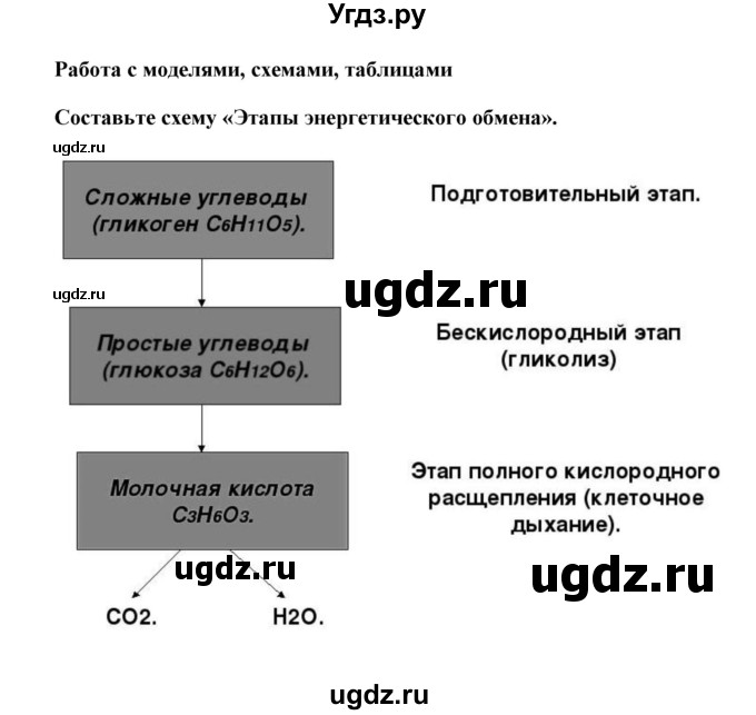 ГДЗ (Решебник) по биологии 9 класс Сивоглазов В.И. / параграф 14 / работа с моделями, схемами, таблицами / 1