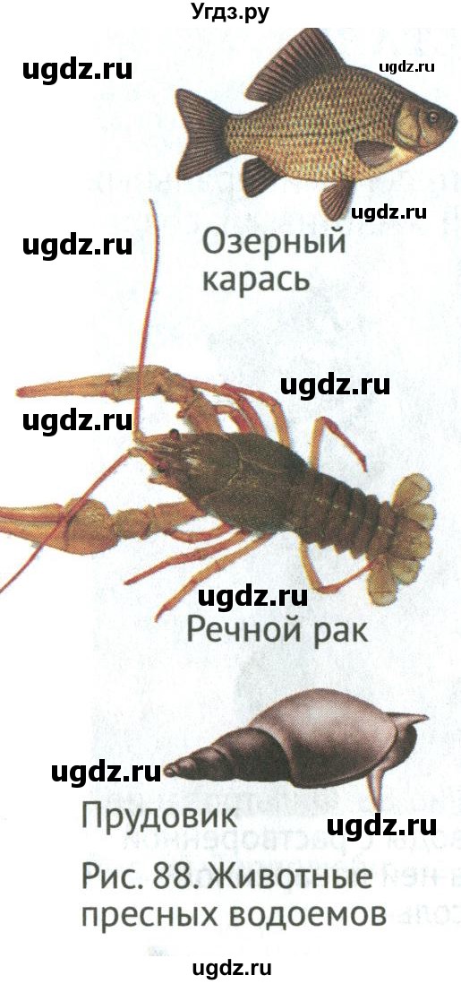 ГДЗ (Учебник) по биологии 5 класс (Организмы) Никишов А.И. / страница / 85(продолжение 4)