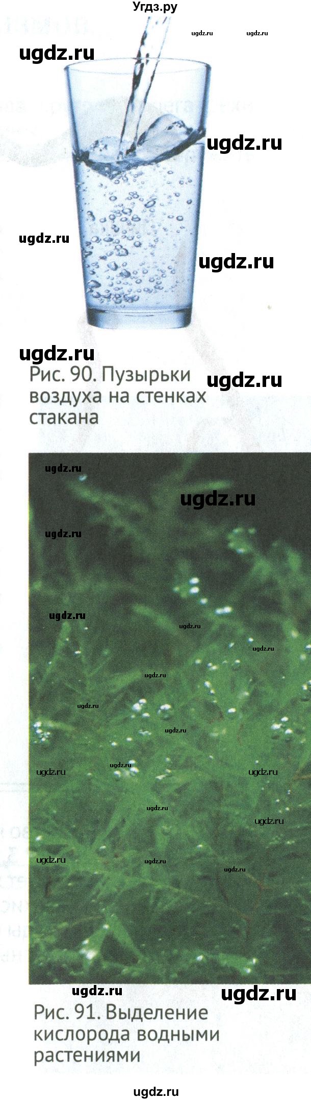 ГДЗ (Учебник) по биологии 5 класс (Организмы) Никишов А.И. / страница / 85(продолжение 6)