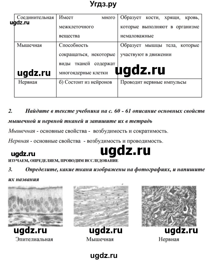 ГДЗ (Решебник) по биологии 5 класс (рабочая тетрадь) Сивоглазов В.И. / страница / 40(продолжение 2)