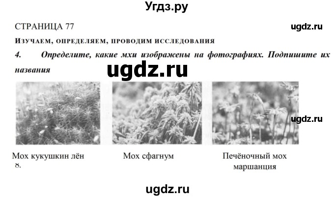 ГДЗ (Решебник) по биологии 5 класс (рабочая тетрадь) Сивоглазов В.И. / страница / 77