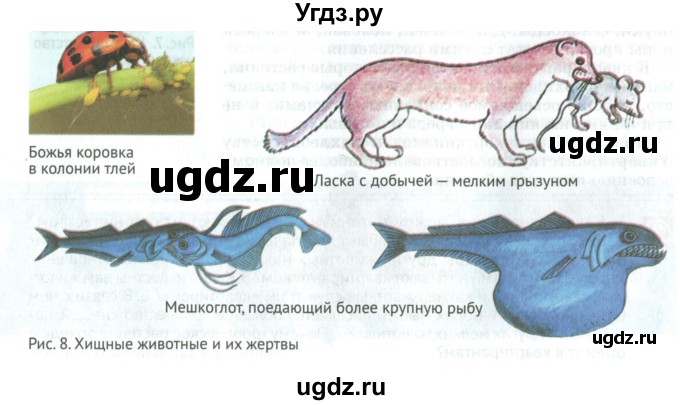 ГДЗ (Учебник) по биологии 6 класс Никишов А.И. / страница / 12(продолжение 2)