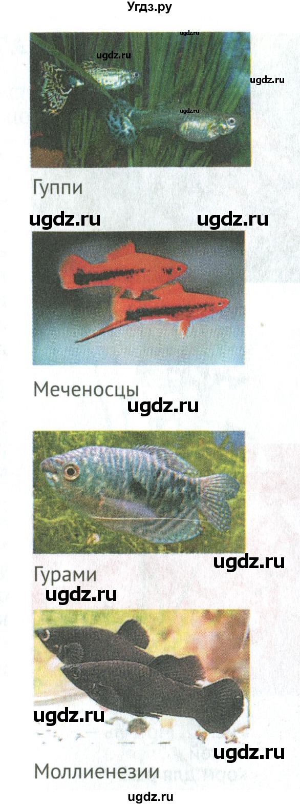 ГДЗ (Учебник) по биологии 6 класс Никишов А.И. / страница / 40(продолжение 3)