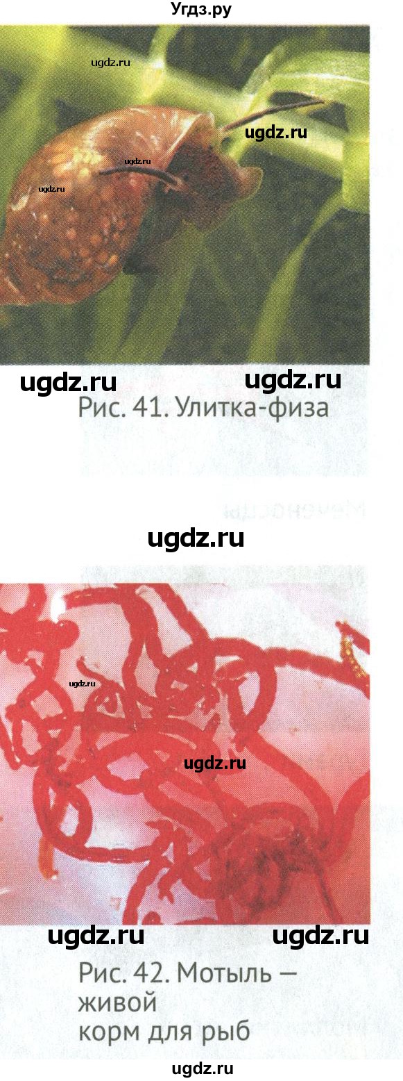 ГДЗ (Учебник) по биологии 6 класс Никишов А.И. / страница / 40(продолжение 5)