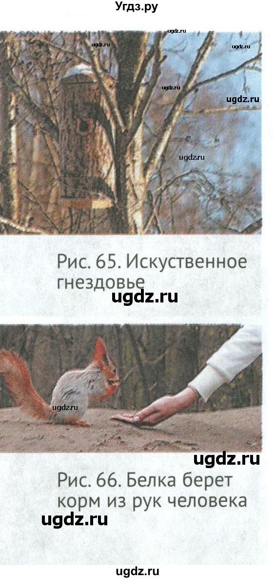 ГДЗ (Учебник) по биологии 6 класс Никишов А.И. / страница / 56(продолжение 6)
