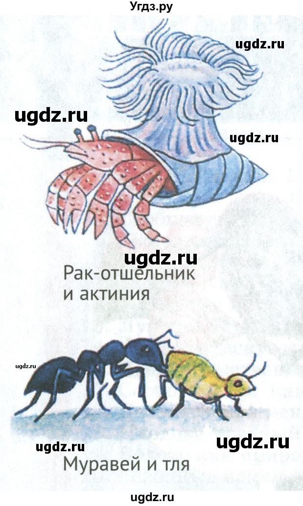 ГДЗ (Учебник) по биологии 6 класс Никишов А.И. / страница / 6(продолжение 2)