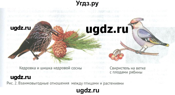 ГДЗ (Учебник) по биологии 6 класс Никишов А.И. / страница / 6(продолжение 4)