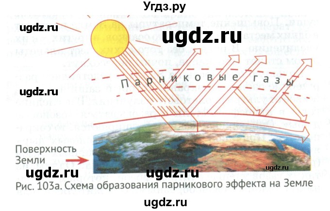 ГДЗ (Учебник) по биологии 6 класс Никишов А.И. / страница / 89(продолжение 3)