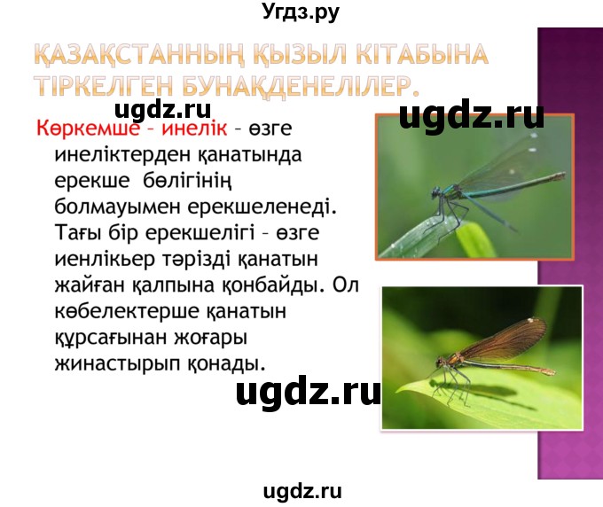 ГДЗ (Решебник) по казахскому языку 8 класс Аринова Б. / страница (бет) / 72(продолжение 13)