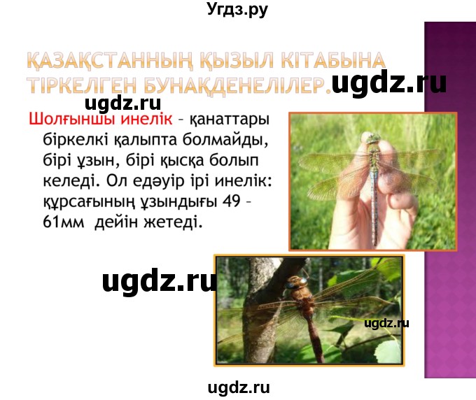 ГДЗ (Решебник) по казахскому языку 8 класс Аринова Б. / страница (бет) / 72(продолжение 14)