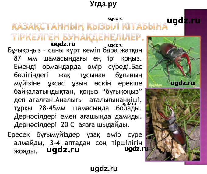 ГДЗ (Решебник) по казахскому языку 8 класс Аринова Б. / страница (бет) / 72(продолжение 19)