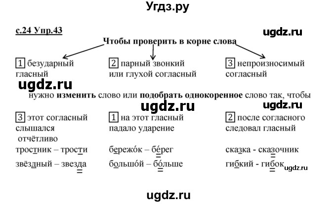 ГДЗ (Решебник) по русскому языку 4 класс Кибирева Л.В. / часть 1. страница / 24(продолжение 2)