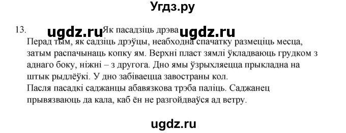 ГДЗ (Рашальнік) по белорусскому языку 6 класс (рабочая тетрадь) Тумаш Г.В. / паўтарэнне вывучанага ў V класе / 13