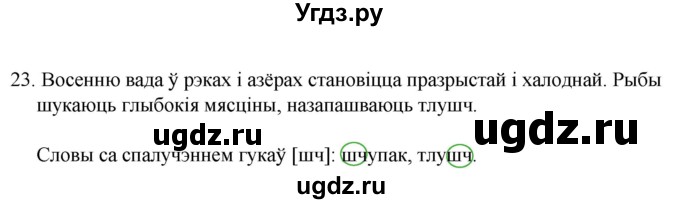 ГДЗ (Рашальнік) по белорусскому языку 2 класс (рабочая тетрадь) Свириденко В.И / практыкаванне / 23