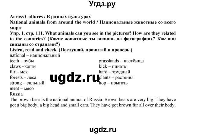 ГДЗ (Решебник к учебнику 2019) по английскому языку 5 класс Маневич Е.Г. / страница / 111