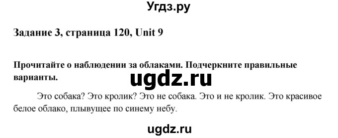 ГДЗ (Решебник) по английскому языку 6 класс (тетрадь по грамматике) Севрюкова Т.Ю. / страница / 120