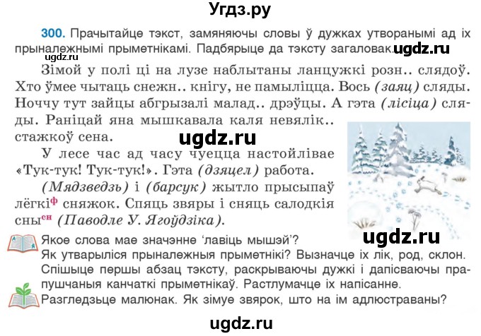 ГДЗ (Учебник) по белорусскому языку 6 класс Валочка Г.М. / практыкаванне / 300