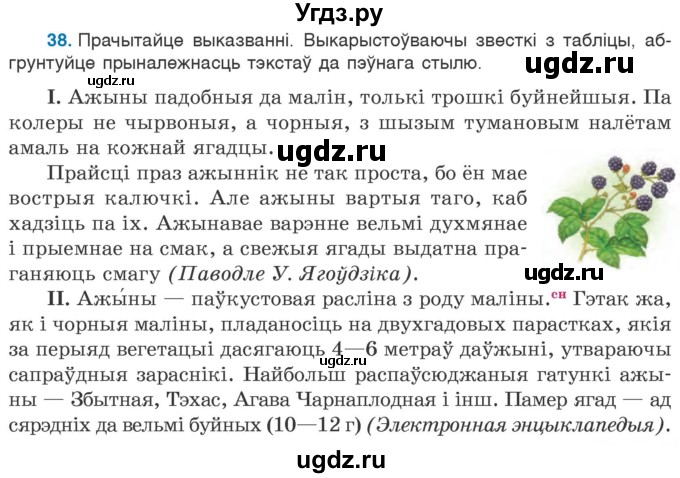 ГДЗ (Учебник) по белорусскому языку 6 класс Валочка Г.М. / практыкаванне / 38