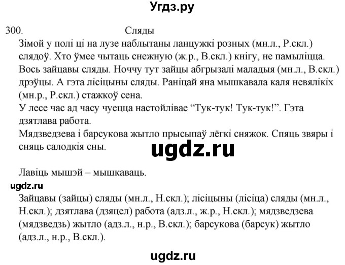 ГДЗ (Решебник) по белорусскому языку 6 класс Валочка Г.М. / практыкаванне / 300