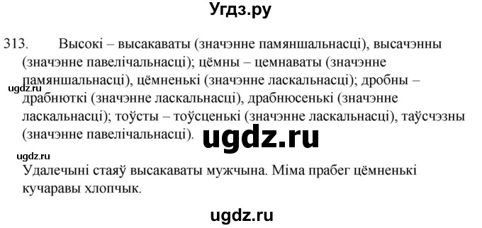 ГДЗ (Решебник) по белорусскому языку 6 класс Валочка Г.М. / практыкаванне / 313