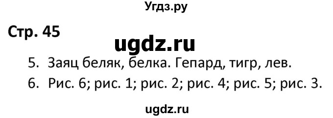 ГДЗ (Решебник) по окружающему миру 3 класс (рабочая тетрадь) Соколова Н.А. / тетрадь №1. страница / 45