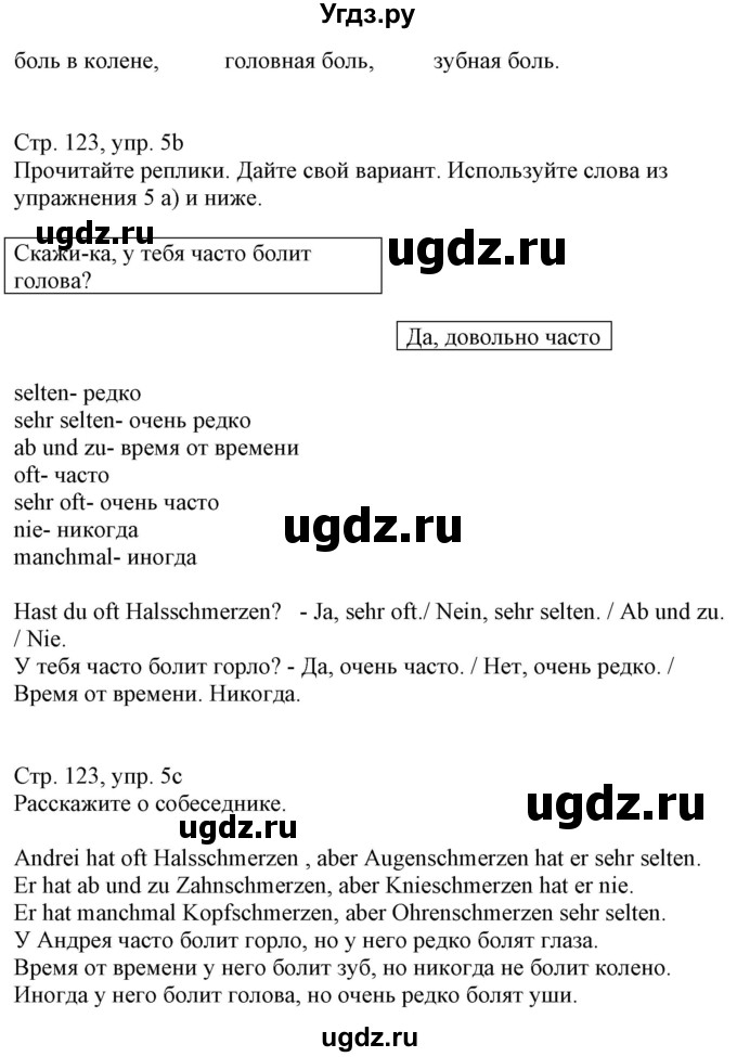 ГДЗ (Решебник) по немецкому языку 7 класс Радченко О.А. / страница / 123(продолжение 2)