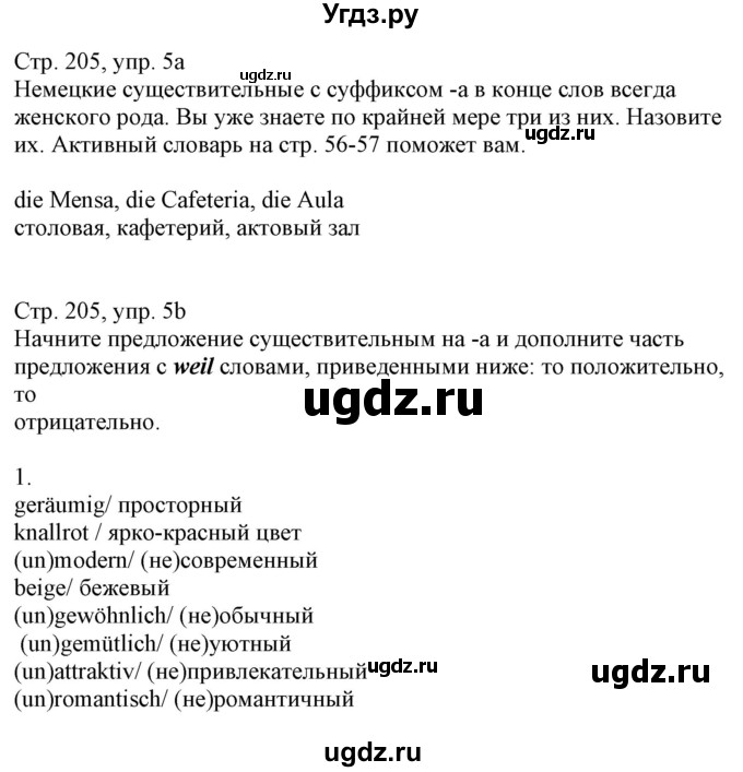 ГДЗ (Решебник к учебнику Wunderkinder Plus) по немецкому языку 8 класс Радченко О.А. / страница / 205