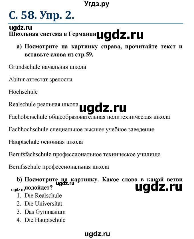 ГДЗ (Решебник к учебнику Wunderkinder) по немецкому языку 8 класс Радченко О.А. / страница / 59