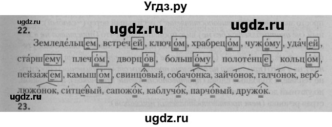 ГДЗ (Решебник к учебнику 2015) по русскому языку 7 класс Т.Н. Волынец / упражнение / 22